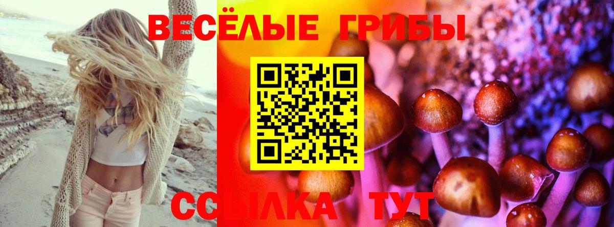что такое   Галлюциногенные грибы ЛСД  Вход с VPN  Орехово-Зуево 
