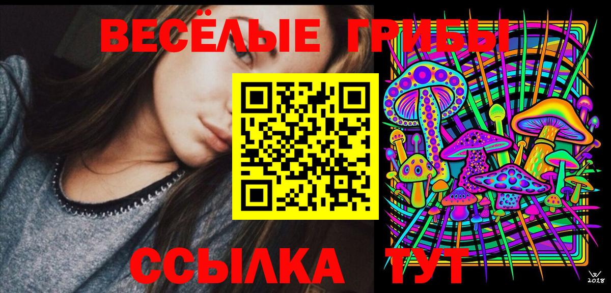 Псилоцибиновые грибы мухоморы Орехово-Зуево